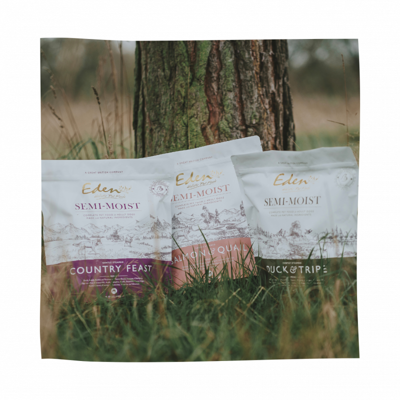 Eden Semi-Moist Salmon and Quail Dog Food with other variants