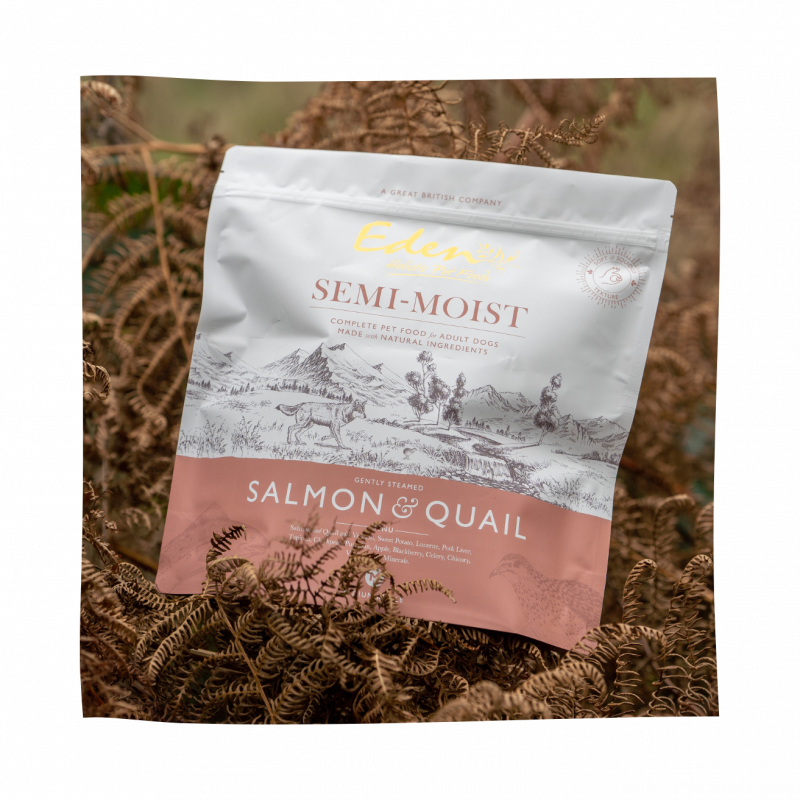 Eden Semi-Moist Salmon and Quail Dog Food outdoors