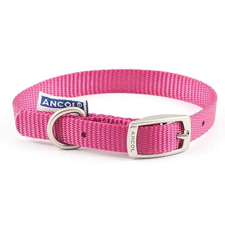 Ancol Buckle Adjustable Dog Collar - Various Colours -Ancol5016646696151