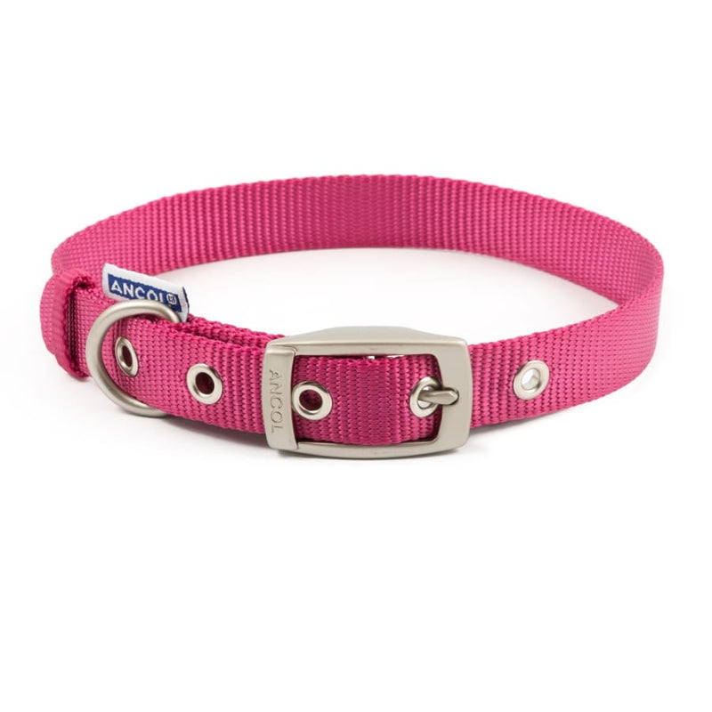 Ancol Buckle Adjustable Dog Collar - Various Colours -Ancol5016646696328