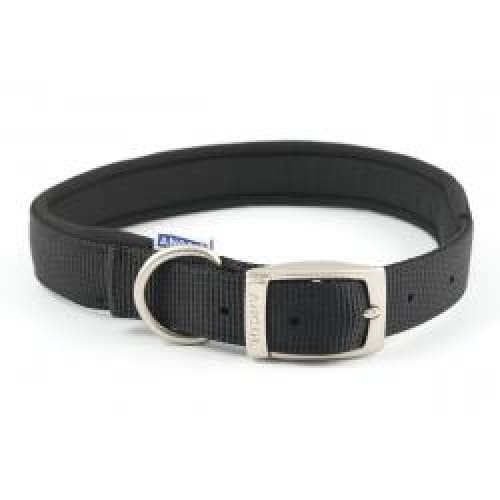 Ancol Buckle Adjustable Dog Collar - Various Colours -Ancol6016646696212