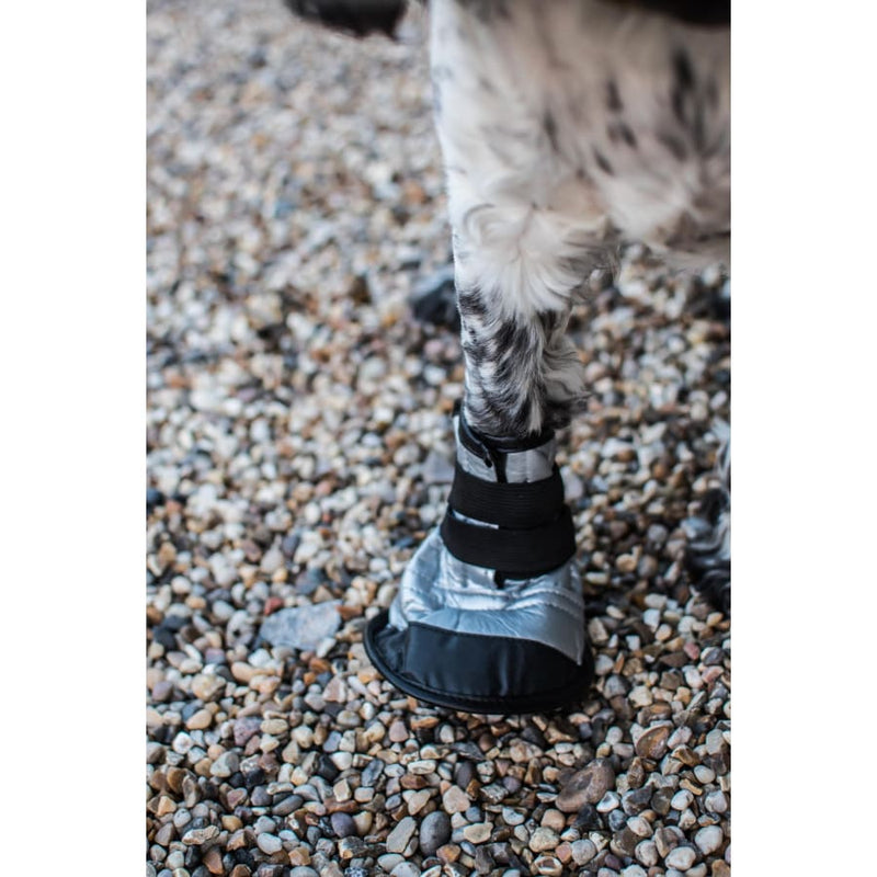Dog Paw Protection Boot -Mikki