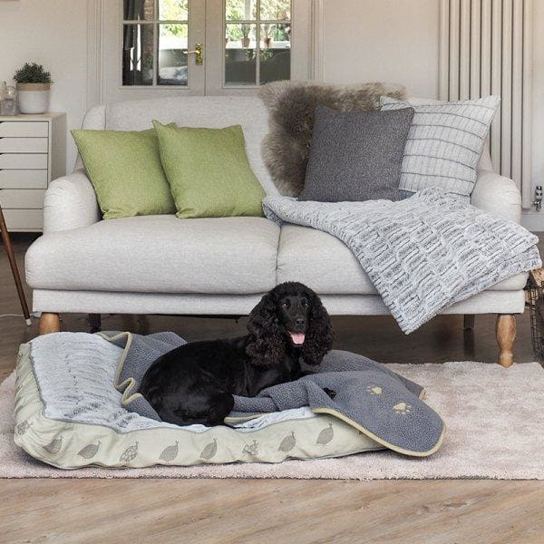 Feathered Friends Gusset Mattress Dog Bed -Zoon