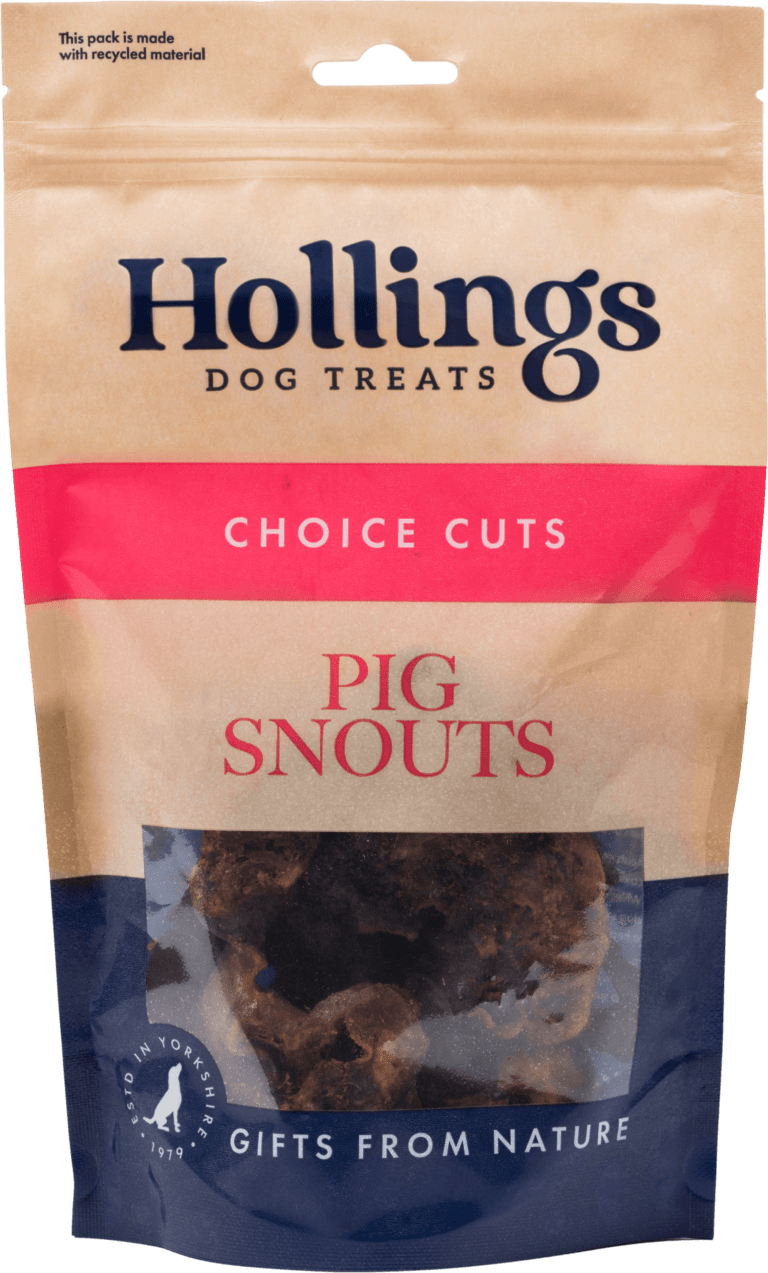 Hollings Pig Snouts Dog Treats -100g Resealable Bag -Hollings5018253114318