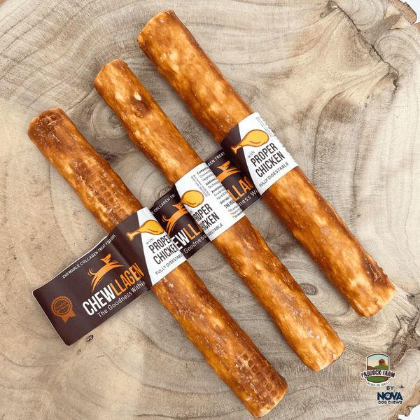 Chewllagen: Natural Collagen Dog Chews for Healthy Smiles - Kimi's Pet Emporium