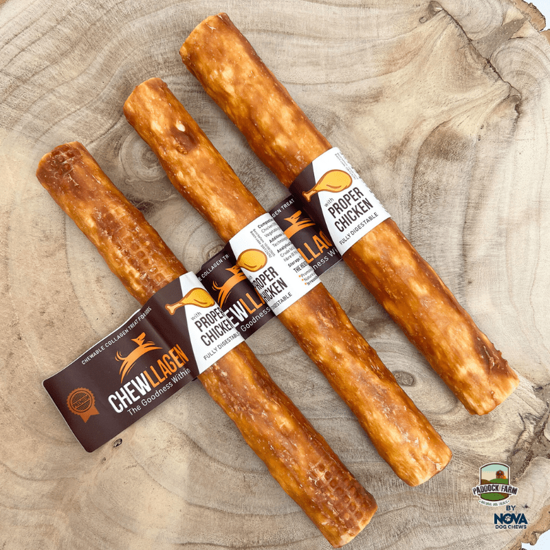 Chewllagen: Natural Collagen Dog Chews for Healthy Smiles - Kimi's Pet Emporium