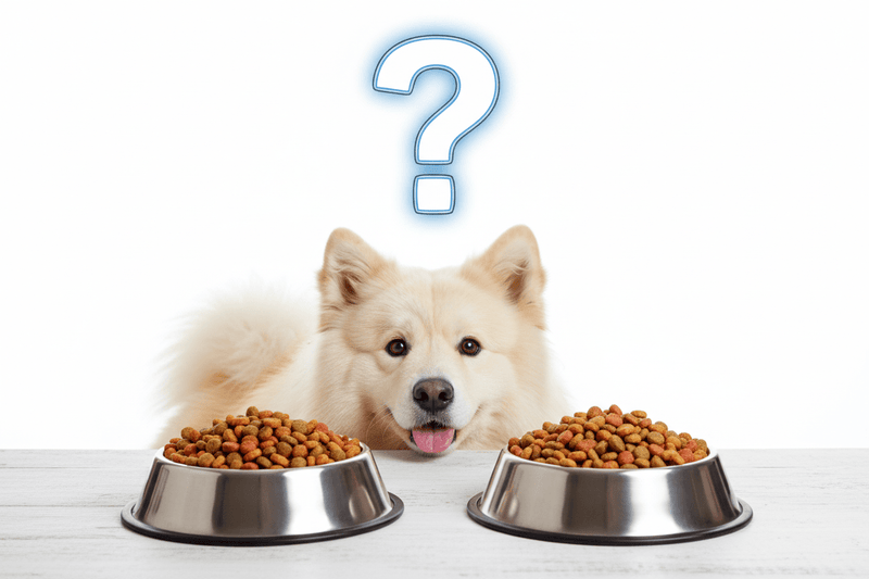 How to Choose the Right Dry Food for Your Dog - Kimi's Pet Emporium