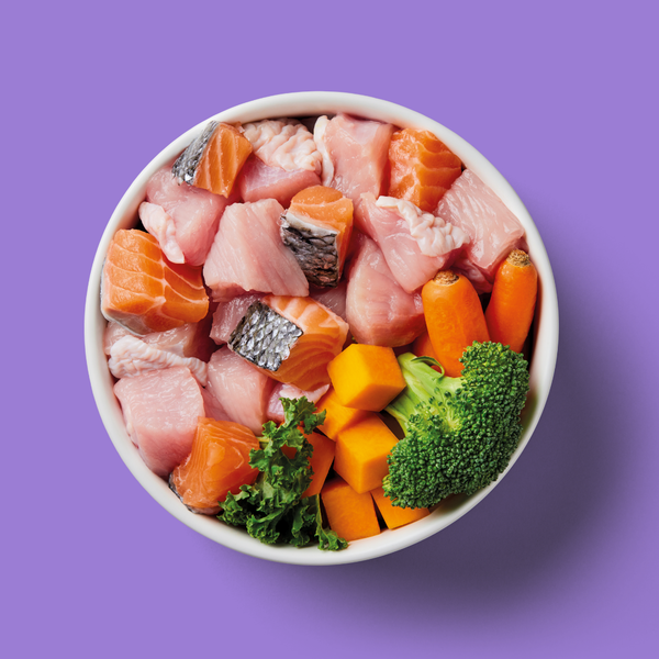 Bowl of fresh raw salmon, turkey, and mixed vegetables including broccoli, carrot, and kale for premium dog food nutrition.