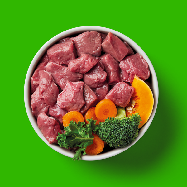 Bowl of Nutriment Lamb Raw Dog Food with fresh lamb chunks, carrots, kale, broccoli, and butternut squash on green background