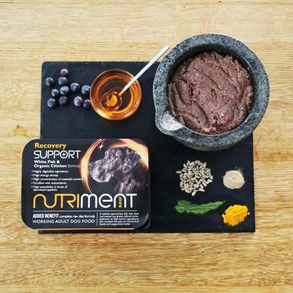 Nutriment Recovery Support Raw Dog Food 500g Tray