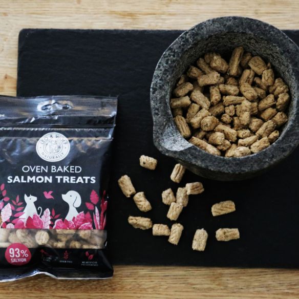 100g Leo & Wolf Oven Baked Salmon Treats for Dogs & Cats