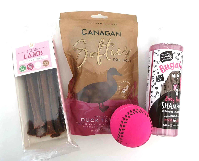 Gift wrapped Christmas bundles for pets with treats and shampoo.