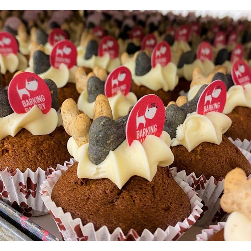 Barking Bakery Iced Woofin Dog Treat