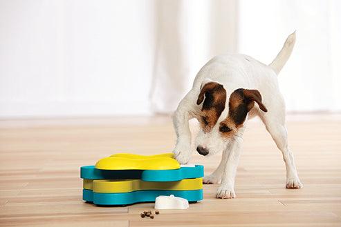 Dog playing with Nina Ottosson Tornado Interactive Treat Puzzle Dog Toy.