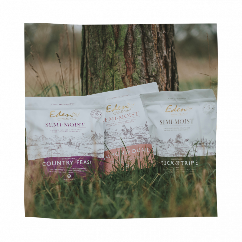 Eden Semi-Moist Salmon and Quail Dog Food