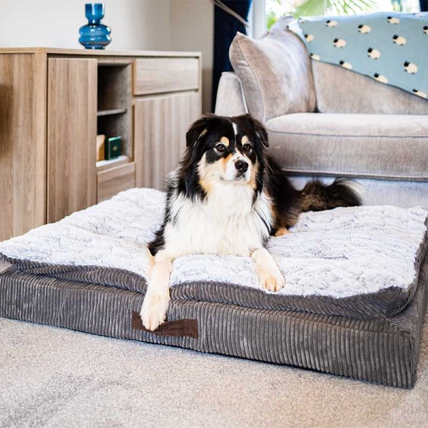 Komfort Kord Memory Foam Mattress Dog Bed - Large Dog Bed