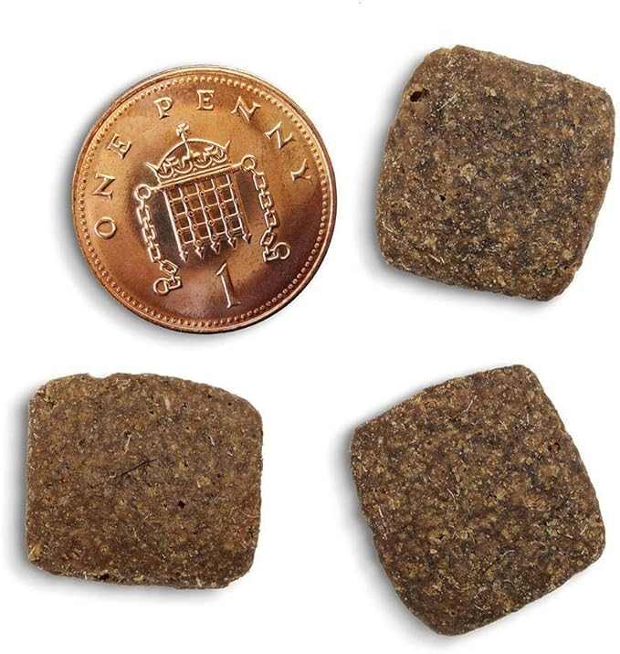 Canagan Lamb Grain Free Dry Dog Food kibble next to a penny for size comparison.