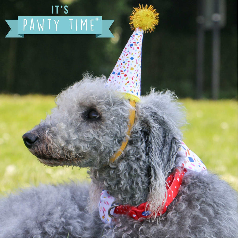 Ancol Birthday, Happy Birthday! Hat & Bandana Set