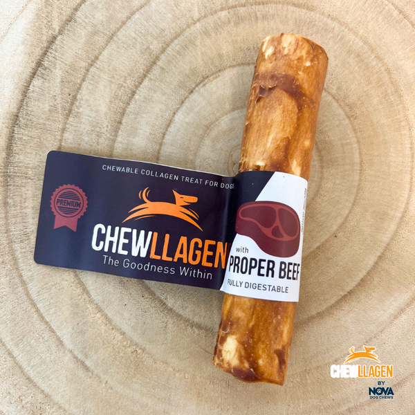 Chewllagen Chewable Beef Collagen Dog Treats Small with premium packaging and real beef label on wooden surface.