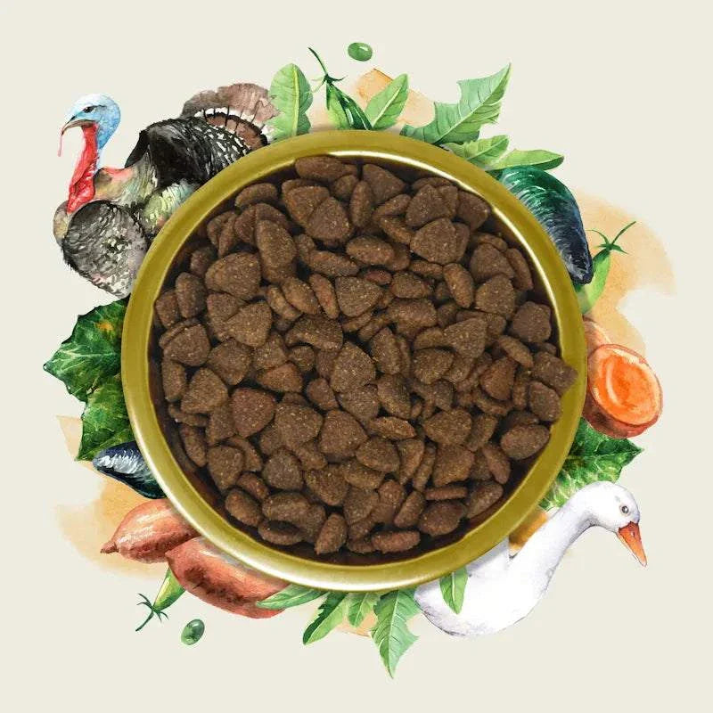 Eden Gourmet Goose & Turkey Dog Food 2Kg Resealable Bag with kibble in a bowl, featuring goose and turkey illustration.