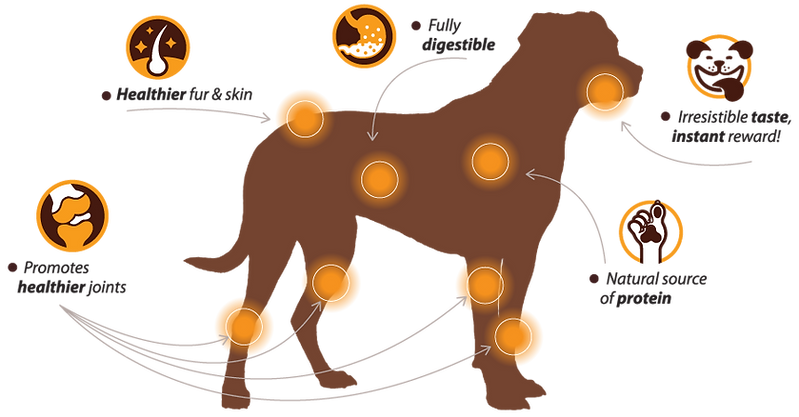 Chewllagen Chewable Collagen Dog Treats with Chicken