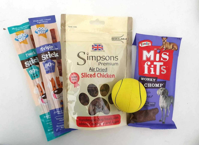 Gift Wrapped Christmas Bundles for Pets with Treats and Toys