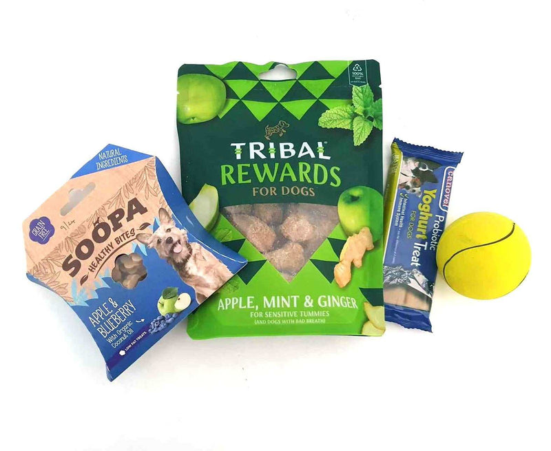 Gift wrapped Christmas bundles for pets, including healthy dog treats and a tennis ball.