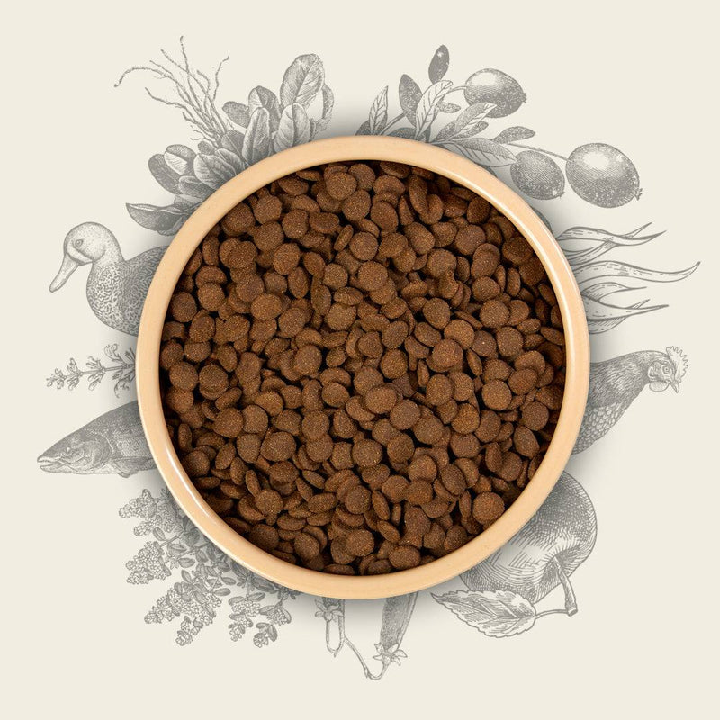 Eden Country Cuisine Working Dog 15kg Dog Food, featuring premium kibble with lamb, duck, rabbit, and venison, surrounded by illustrated natural ingredients.