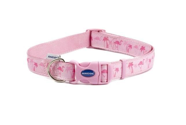 Ancol Fashion Collar pink flamingo adjustable nylon dog collar with snap-buckle fastening