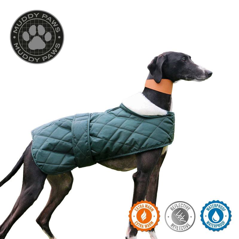 Ancol Heritage Quilted Hound Coat - Ancol5006429464992
