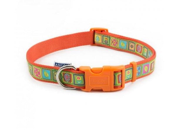 Ancol Orange Squares Adjustable Dog Collar - Ancol5016646686572