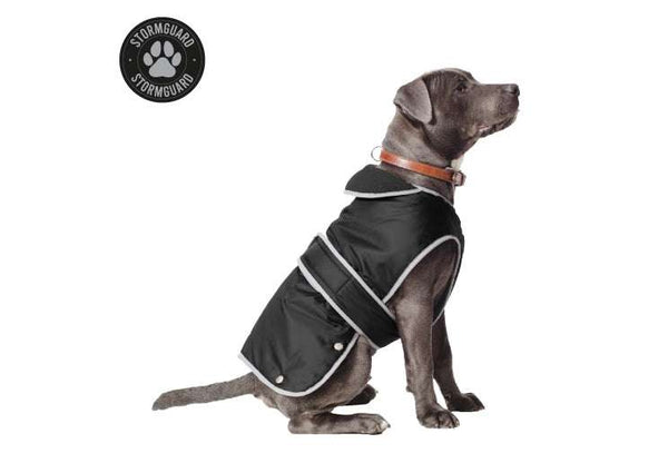 Dog wearing Ancol Stormguard Black Waterproof Dog Coat with reflective edging and chest protector strap