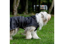 Small dog wearing Ancol Stormguard Black Waterproof Dog Coat outdoors on grass