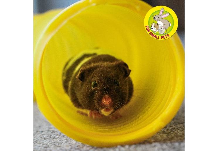 Small pet hamster inside yellow Ancol Tuff Tube flexible tunnel toy