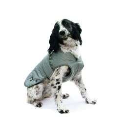 Ancol Ultimate Reflective Dog Coat on black and white dog with splashguard chest protector and fleece lining for warmth and visibility