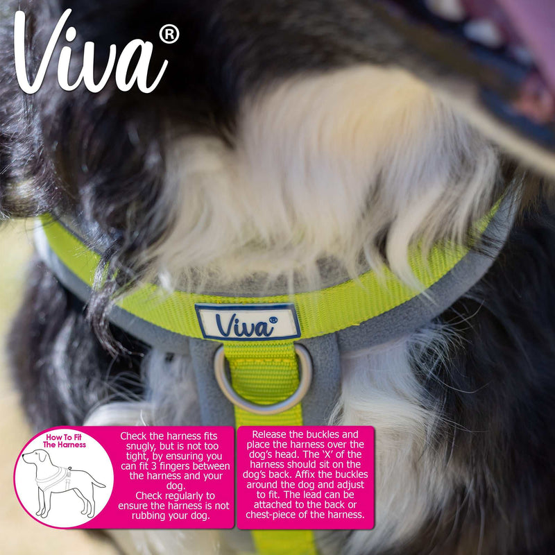 Ancol Viva Padded Dog Harness - Ancol5016646180568