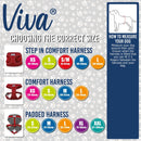 Ancol Viva Padded Dog Harness - Ancol5016646180568