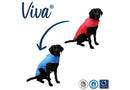 Ancol Viva Reversible Dog Coat Red/Blue - Ancol5016646808