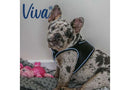 Ancol Viva Step In Dog Harness - Ancol