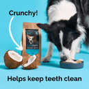 AniForte Organic Coconut Sticks for Dogs and Horses (Nutriment) - Nutriment4260606716521