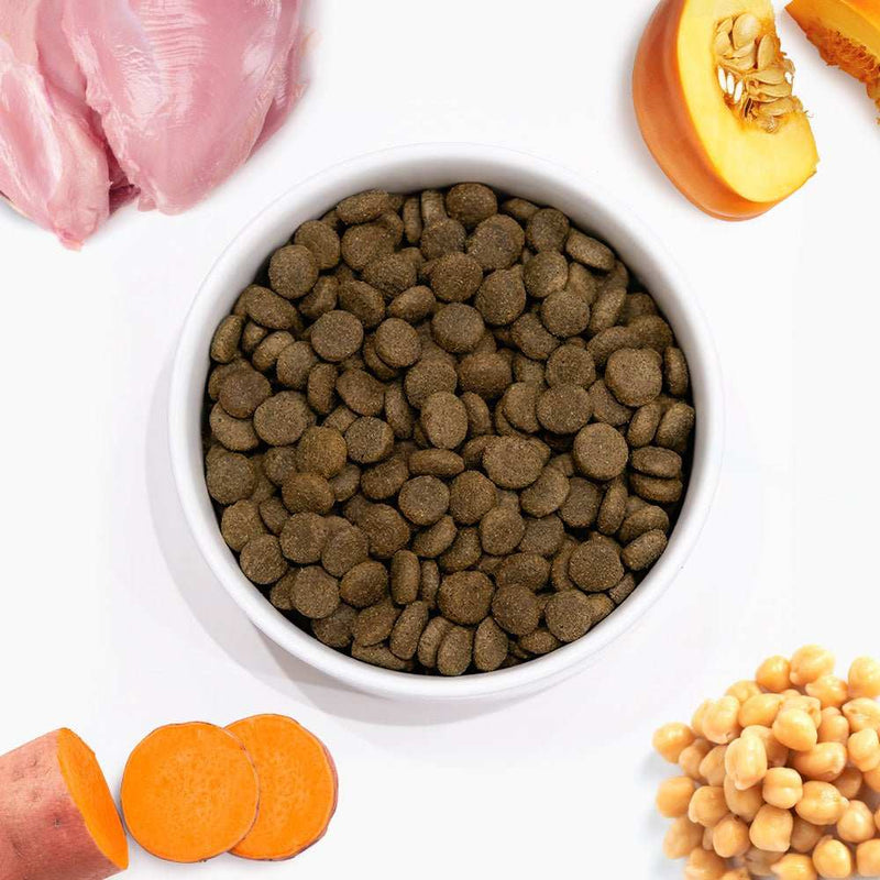 VetCare Gastrointestinal Dog Food with duck and sweet potato, grain-free, digestive and pancreatic support for sensitive dogs