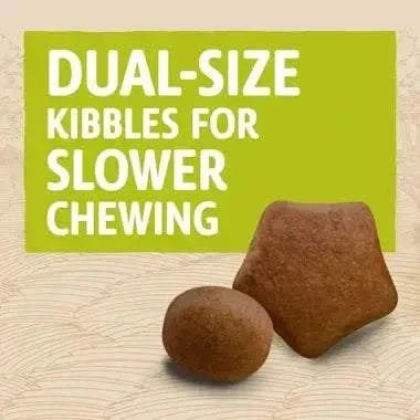 Dual-size kibbles of BETA Adult Dry Dog Food Chicken for slower chewing and oral health