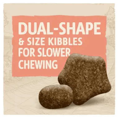 BETA Adult Dry Dog Food Sensitive Salmon 2Kg - Purina07613036470124