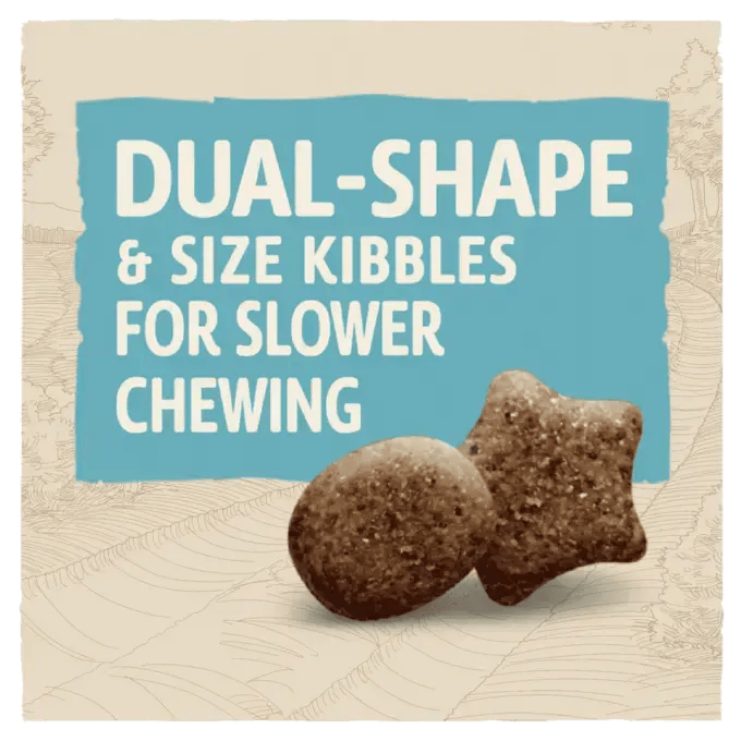 BETA Large Breed Puppy Dry Dog Food Chicken 2kg - Purina07613036469968