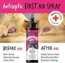 Bugalugs Antiseptic First Aid Spray - Bugalugs5056176299569