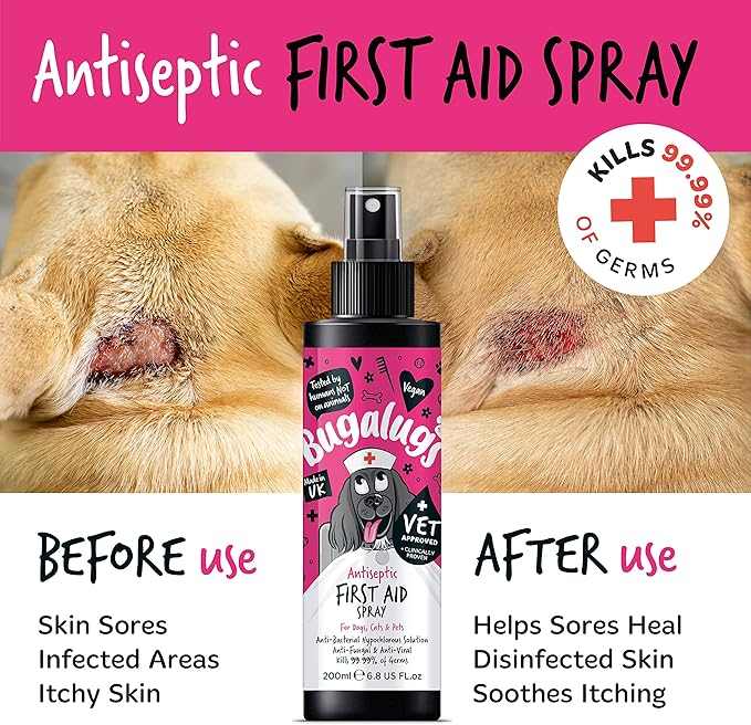 Bugalugs Antiseptic First Aid Spray - Bugalugs5056176299569
