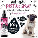 Bugalugs Antiseptic First Aid Spray - Bugalugs5056176299569