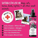 Bugalugs Antiseptic First Aid Spray - Bugalugs5056176299569