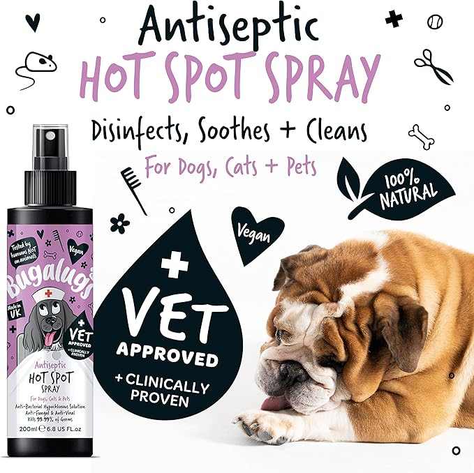 Bugalugs Antiseptic Hot Spot Spray - Bugalugs5056176299583