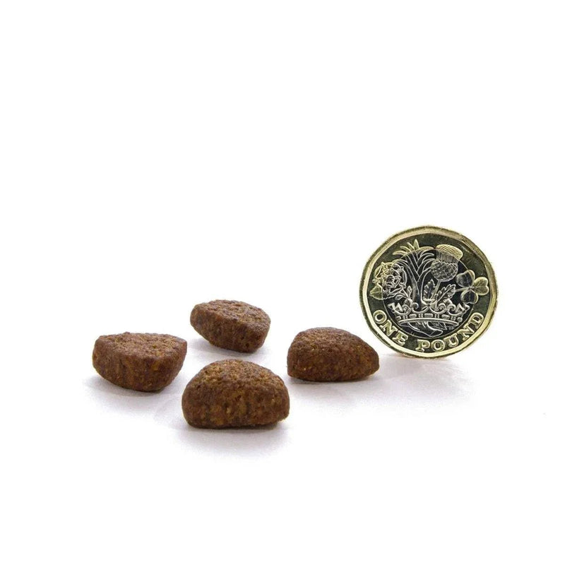 Canagan Free Run Chicken Grain Free Dry Dog Food - Canagan5029040011109